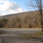 Also at Cove Valley; compare to previous image. This was taken four years earlier.