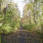 This narrow lane allowed employees to reach Cove Valley without entering the Turnpike.