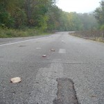 Detail of STAR mini-lanes.